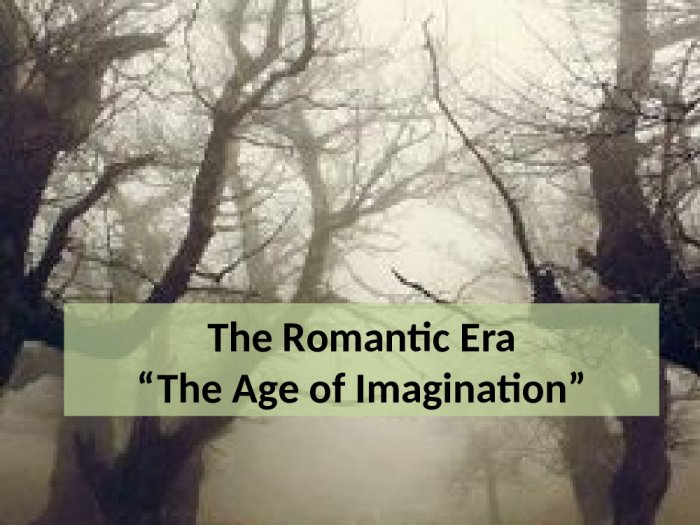 24500_the-romantic-era-the-age-of-imagination-qfsboy.jpg